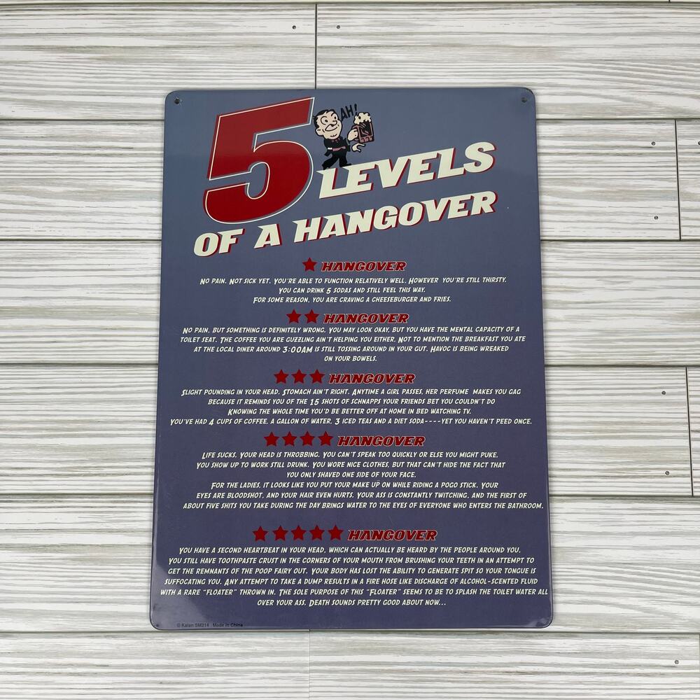 F0044 Tin Sign 5 Levels Of A Hangover